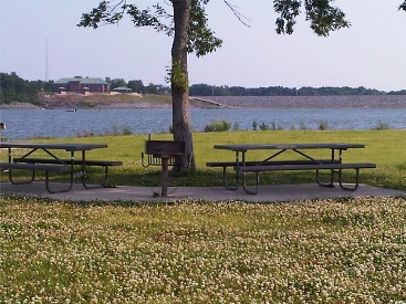 Shaded Picnic with a View