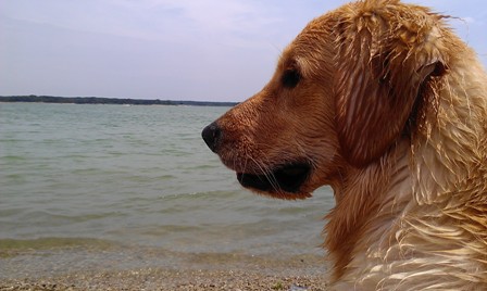 Time for Another Dip